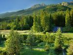 Widok na Tatry