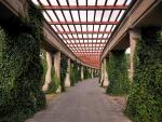 Wrocławska Pergola