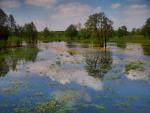 Nadbużański Park Krajobrazowy.