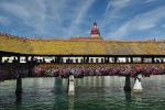 Lucerna
