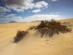 Corralejo.