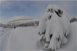 Śnieżny ...
