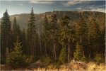 Karkonoskie obrazki ...
