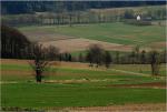 Wiosenne ...