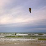 Windsurfer