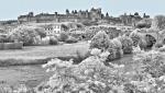 Carcassonne