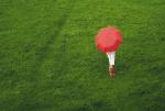 parasol
