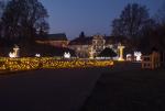 Oliwskie iluminacje
