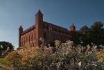 Gniew