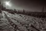 Widok na Tatry z Polany Groń (Małe Ciche)