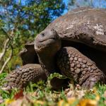 Dzieeeeeń doooooobryyyyyyy....