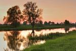 Starorzecze