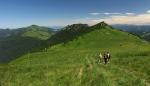 Wielka Fatra /3/