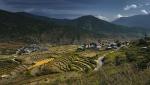 Dolina Punakha