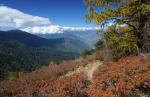 Jesień w Himalajach Bhutanu
