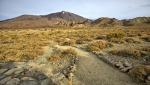 Teide