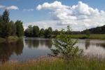 Stadnina w Kucobach